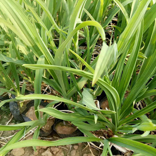 ��������� �������޸����܈@�־G�� �ر��G�����ܳ��G���