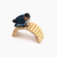 Parrot Supplies Hamster Dragon Rabbit Squirrel Toys Branch Rainbow Hideout Golden Bear Bed Arch Bridge Small Pet Use