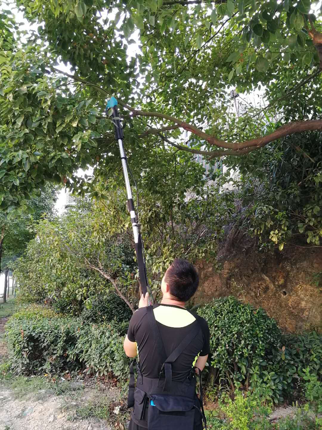 厂家批发电动修枝剪果树电动剪刀电动剪枝剪粗枝剪刀果枝剪电动剪-阿里巴巴