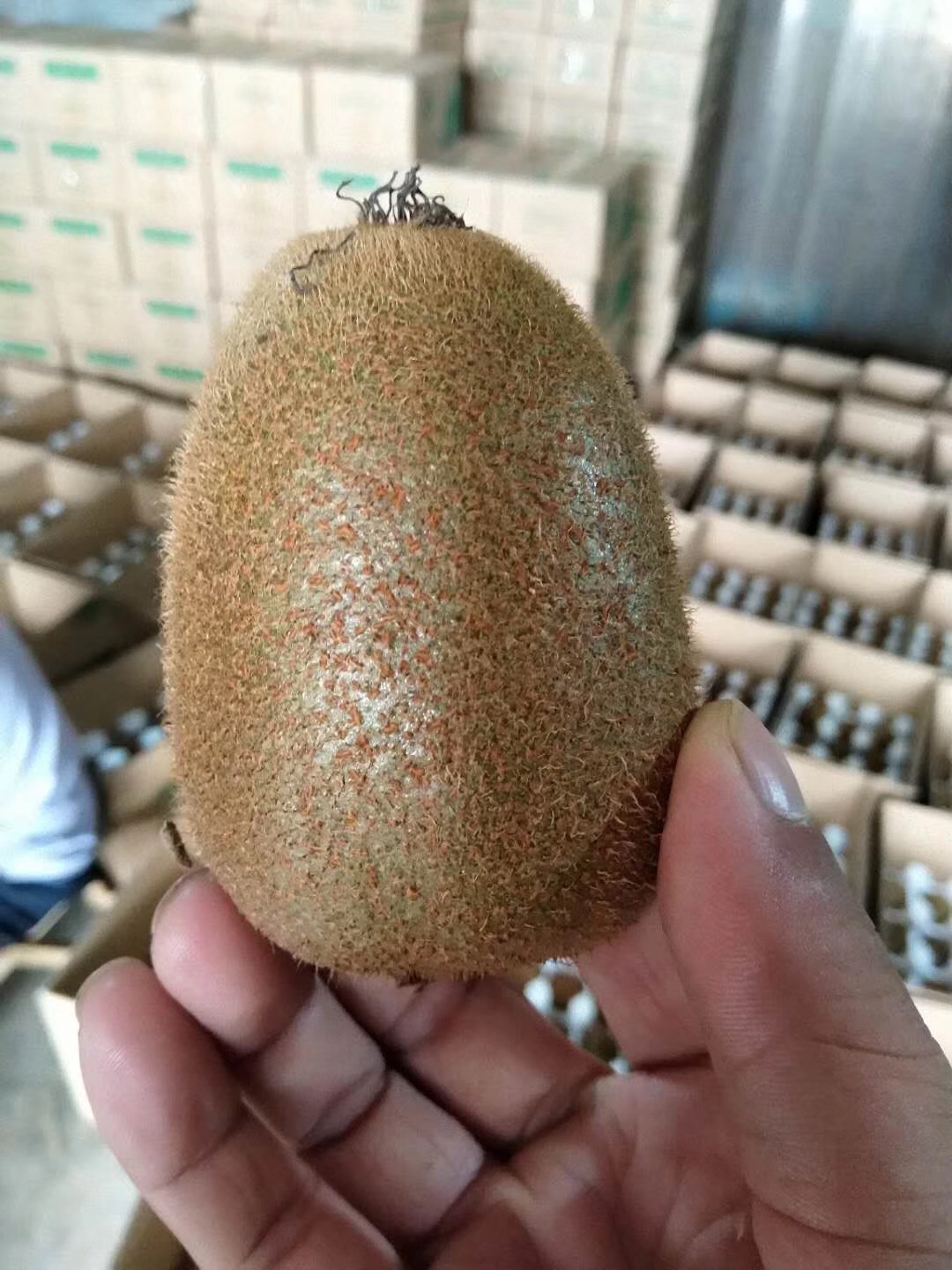 微信图片_20180906113737