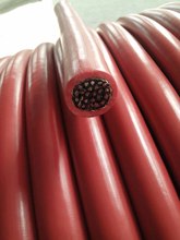 MZ MZP�V����|���I���a�N�� �S�����l�F؛ Ʒ�|��������ă�