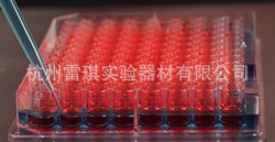 nunc 167425 Edge2 96孔板 F型底 细胞培养表面 无菌 带盖