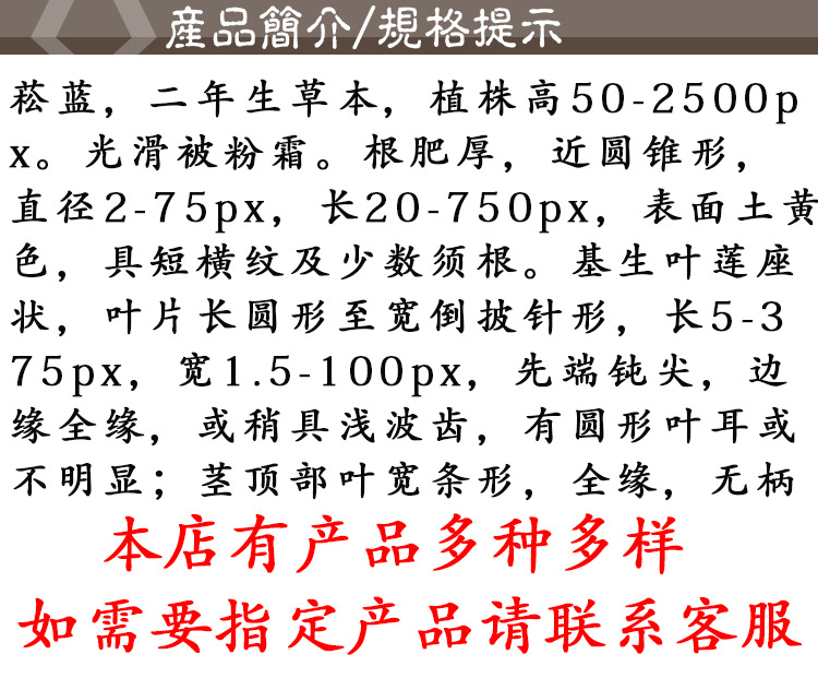Ban Lan Gen (Isatis indigotica / Isatis tinctoria) — Sulfur-Free Dried Root, 500g Northeast China quality and texture