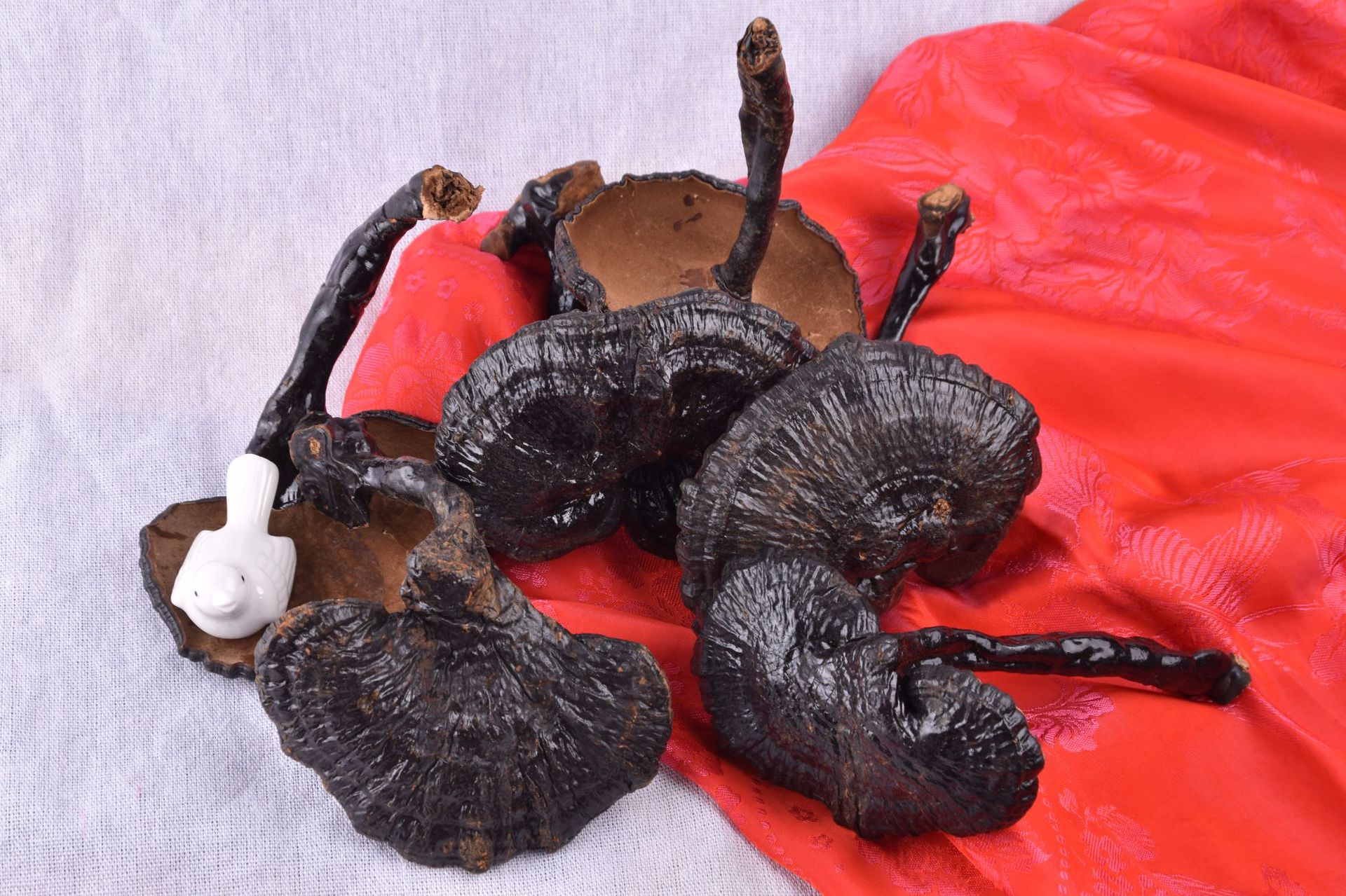 Chinese herbal medicines Purple fungus Purple fungus Brachypodium Black Ganoderma Black ganoderma lucidum in bulk