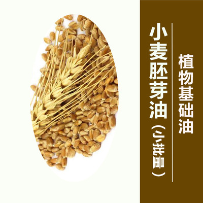 【无矿物油 植物基础油】小麦胚芽油100ML 身体精油 按摩精油原料