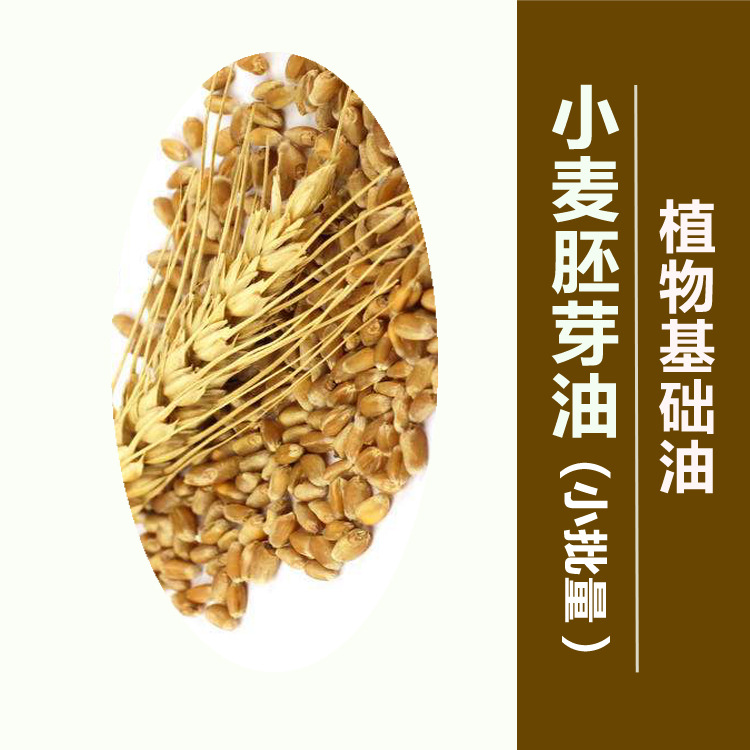 【无矿物油 植物基础油】小麦胚芽油100ML 身体精油 按摩精油原料