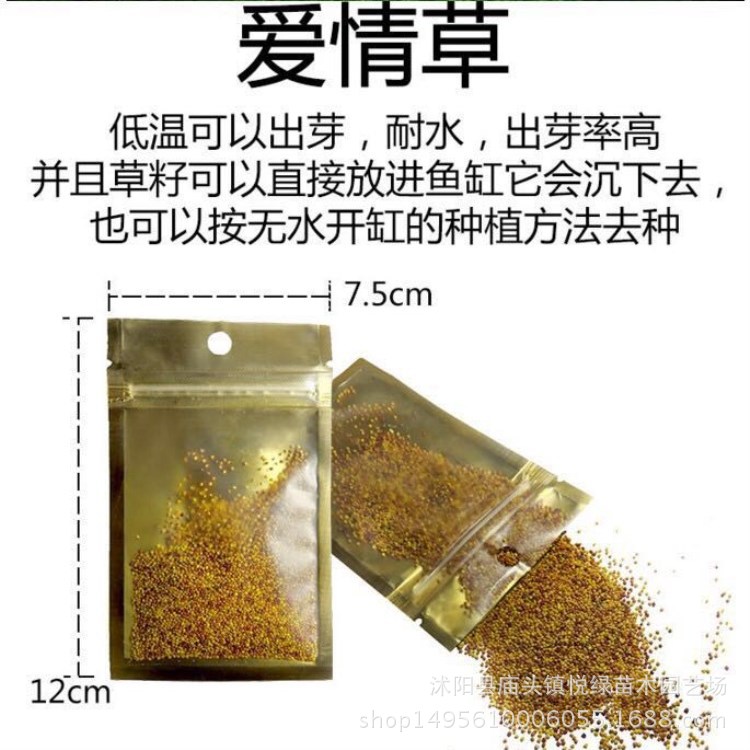 142276861336431755_副本