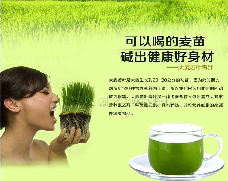 2746614294_784819883