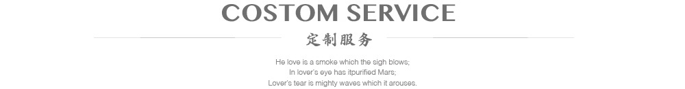 定制服务.jpg?x-oss-process=image/format,png