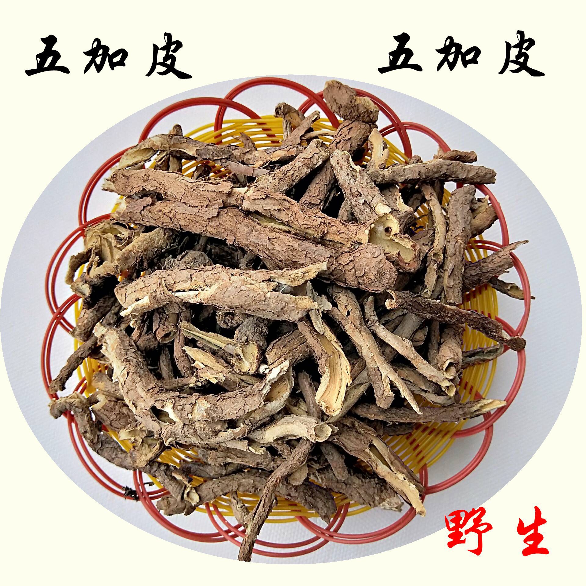 五加皮野生五加皮全皮无杆子无杂质全干无硫无霉变产地批发-阿里巴巴