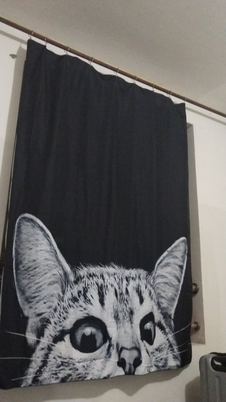 O1CN01260qZ9YljmTp6in_!!0-rate