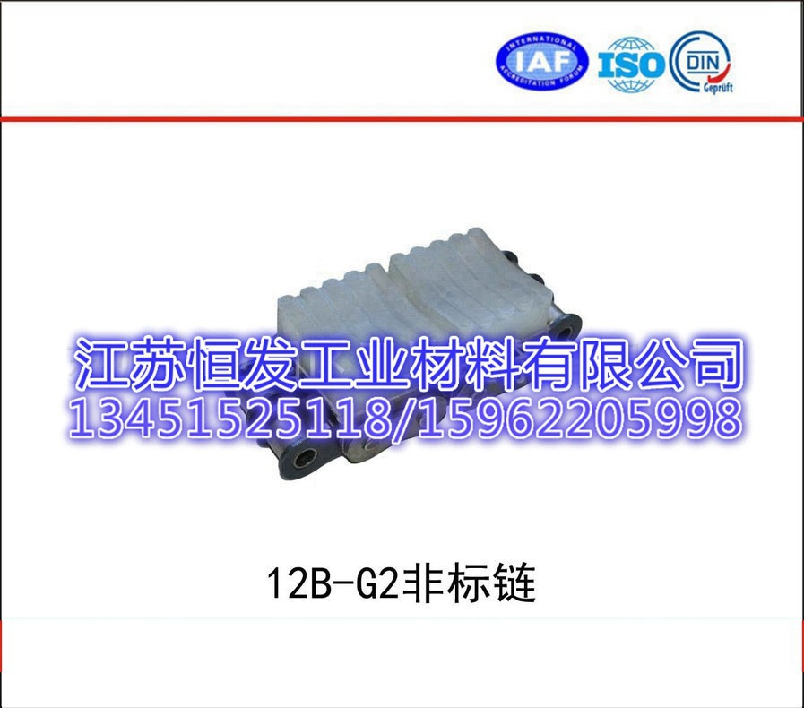 12B-G2 六分双排橡胶链 平板橡胶 顶板橡胶 平移输送 塑胶条料
