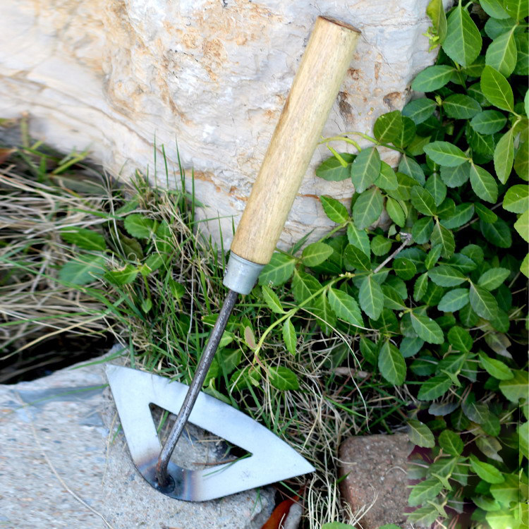 4195623125_288799623