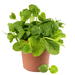 �Ō����N�ӷN�������_���̨�ļ����Խ𲻓Q��ݾų������~