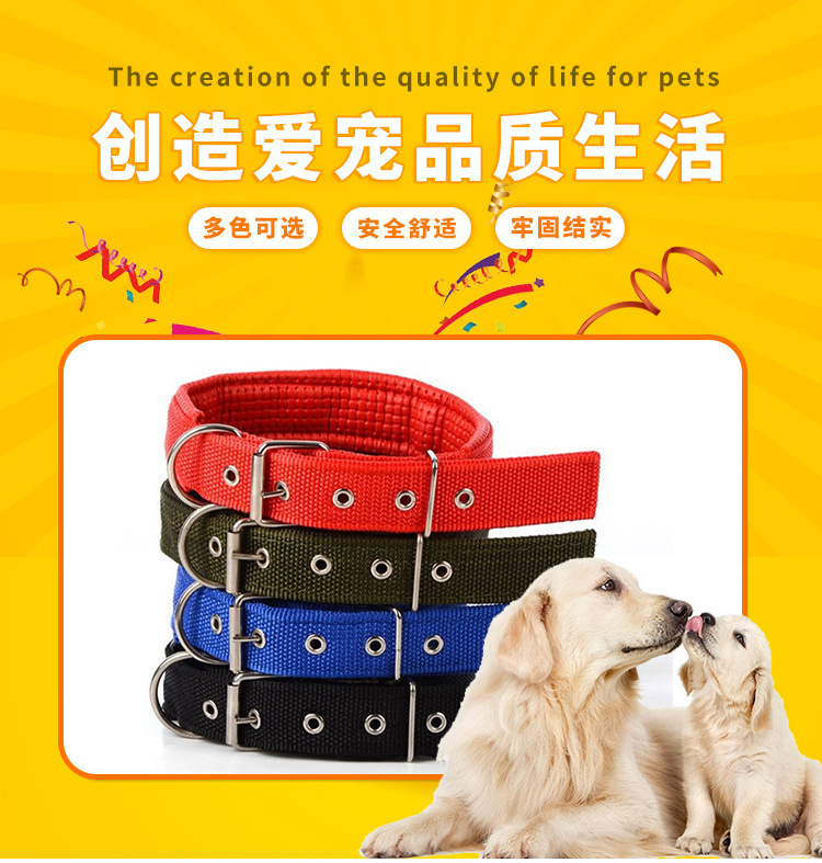 4382405541_495060338