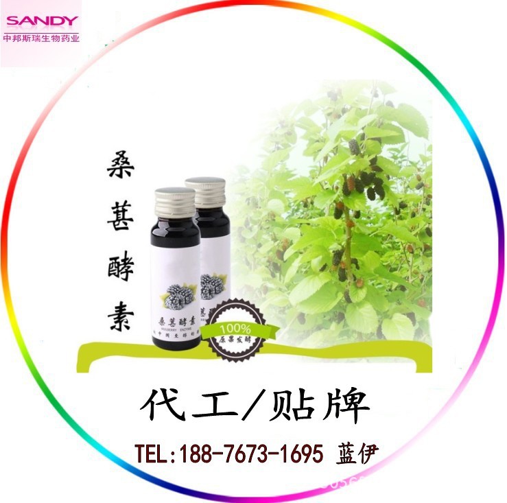 桑葚酵素2_conew4