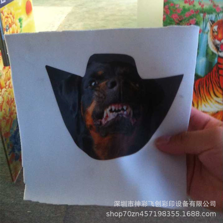 6E2A4379CF96EE39B99631A7A132BC