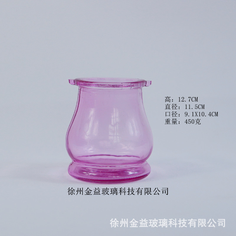 新款彩色大号玻璃双耳吊瓶铁丝悬挂玻璃烛台玻璃水培瓶插花瓶