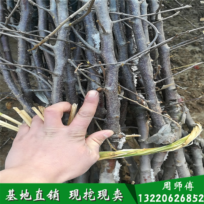 wx_camera_1515395686472_副本