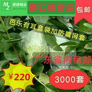 ���S���a��ʯ��Ř��ж��״����x�Ӻ�W��W���Ȱ��]3000�״��