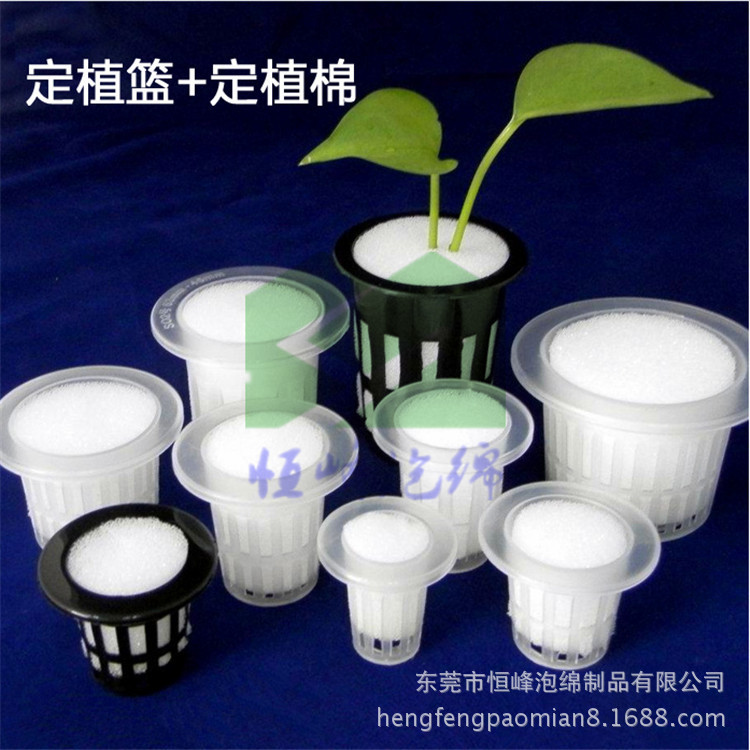 温室水培海绵 无土栽培阳台种植海绵/育苗定植海绵块厂家