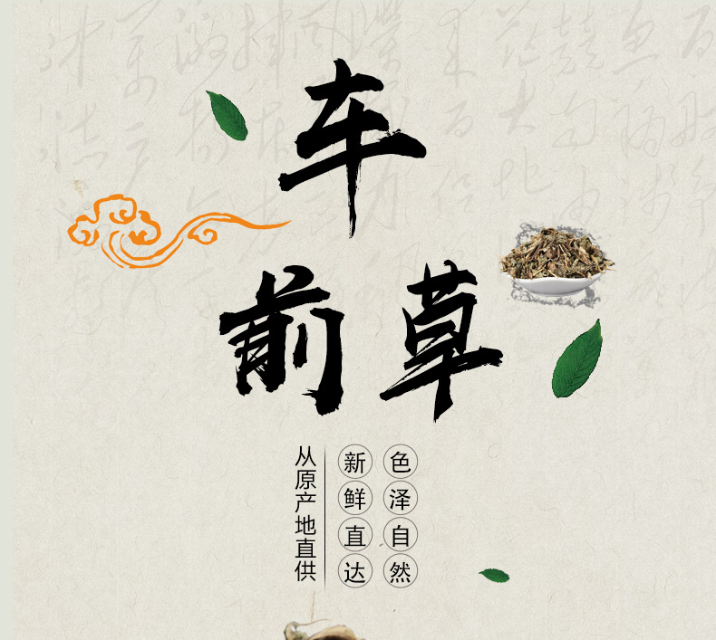 Che Qian Cao Slices (Plantago asiatica) — Dried Food Herb for Tea & Soup overview