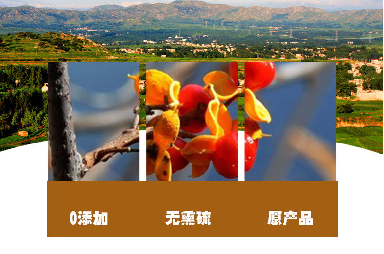 Nan She Teng (Celastrus orbiculatus) — Dried Unsulfured Vine Herb, 500g Bulk quality and texture