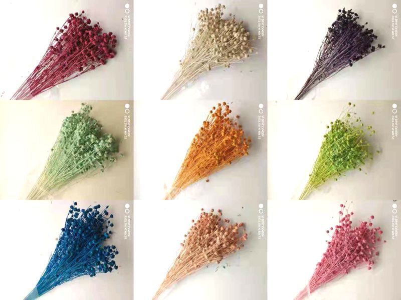 微信图片_20181129155543