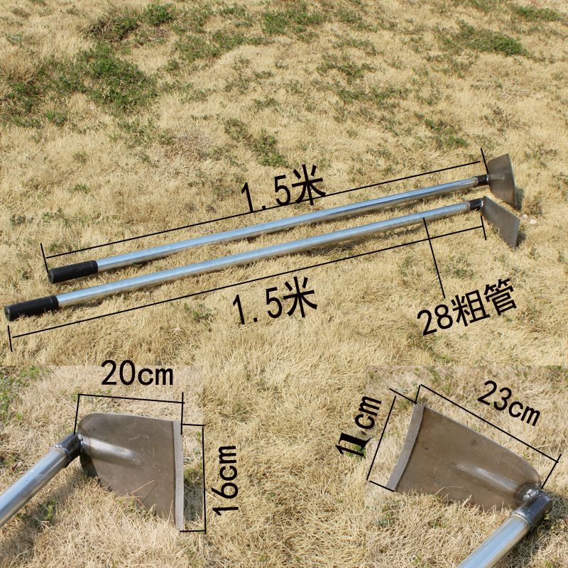 4223334322_1511651549