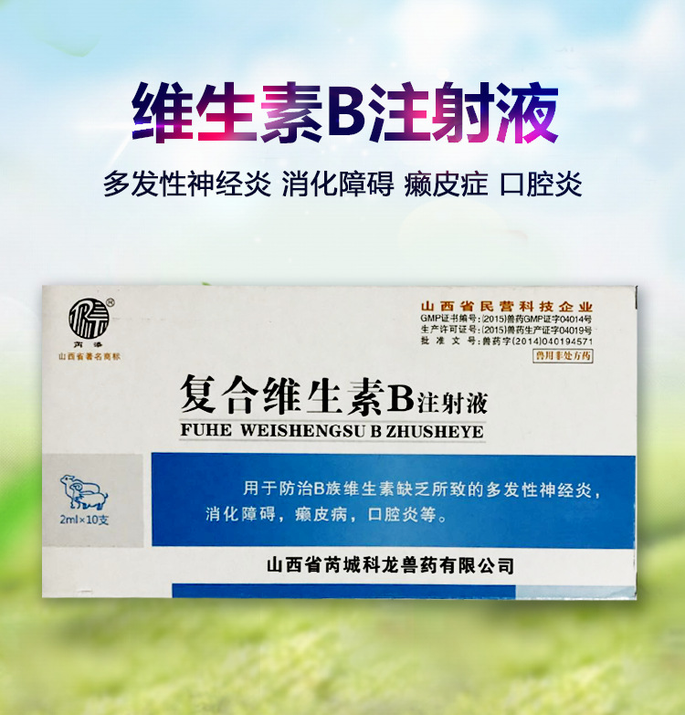 Veterinary medicine Vitamin injection Sheep Ruminant Appetizer Laxative Anorexia Shameless Stomatitis