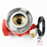 Оптовые национальные испытания ID 65 тип 2,5-дюймового гидравлического декомпрессионного тромбоза SNZW65-I