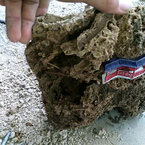 feed_image1500114355124