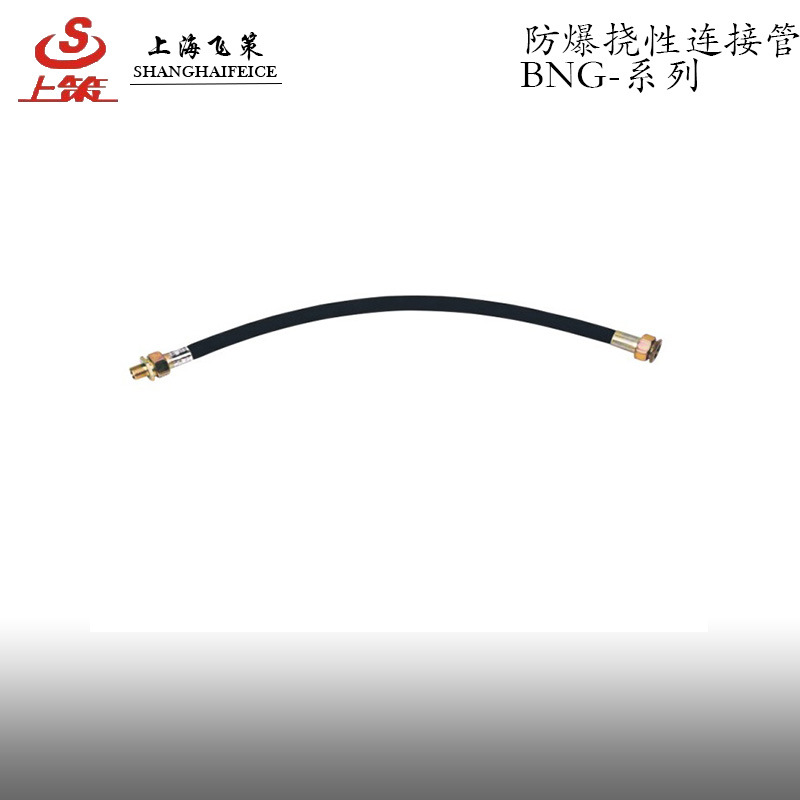 防爆连接管BNG 防爆挠性连接管不锈钢橡胶护套 上海飞策厂家直销