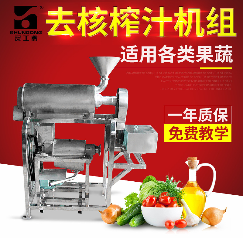 舜工牌去核榨汁机组 螺旋榨汁机水果榨汁机 304不锈钢榨汁机