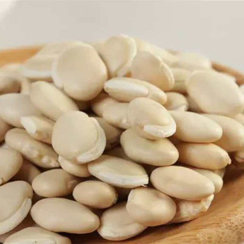 白扁豆批发 优质扁豆 工厂直批 大片白扁豆散装批发