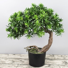 �����_�h���辰 �����_�h��ֲ�������ɘ�չ�d�͏d�Ƶ�U��[��