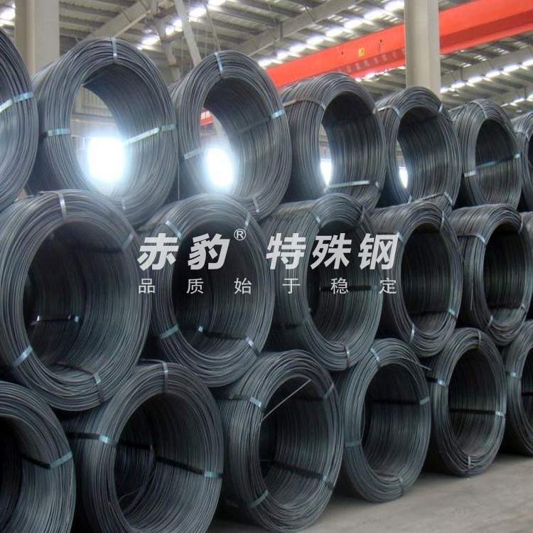SWRCH22A Cold heading steel Wire SWRCH22A Annealing carbon Steel wire
