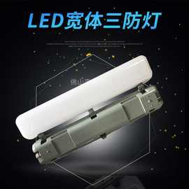 飞利浦LED三防灯20W/40W/60W 明晖LED宽体三防灯 WT008C尺寸可选