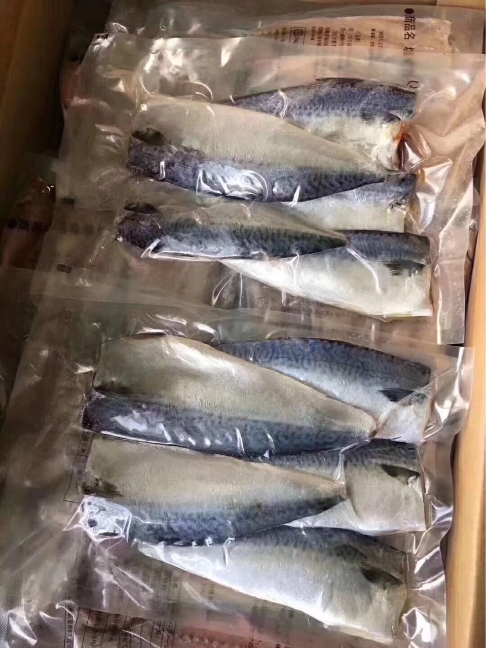 燕鲅鱼贵还是鲐鲅鱼贵,鲐鱼为什么比鲅鱼便宜,燕鲅鱼是哪产的(第10页)_大山谷图库