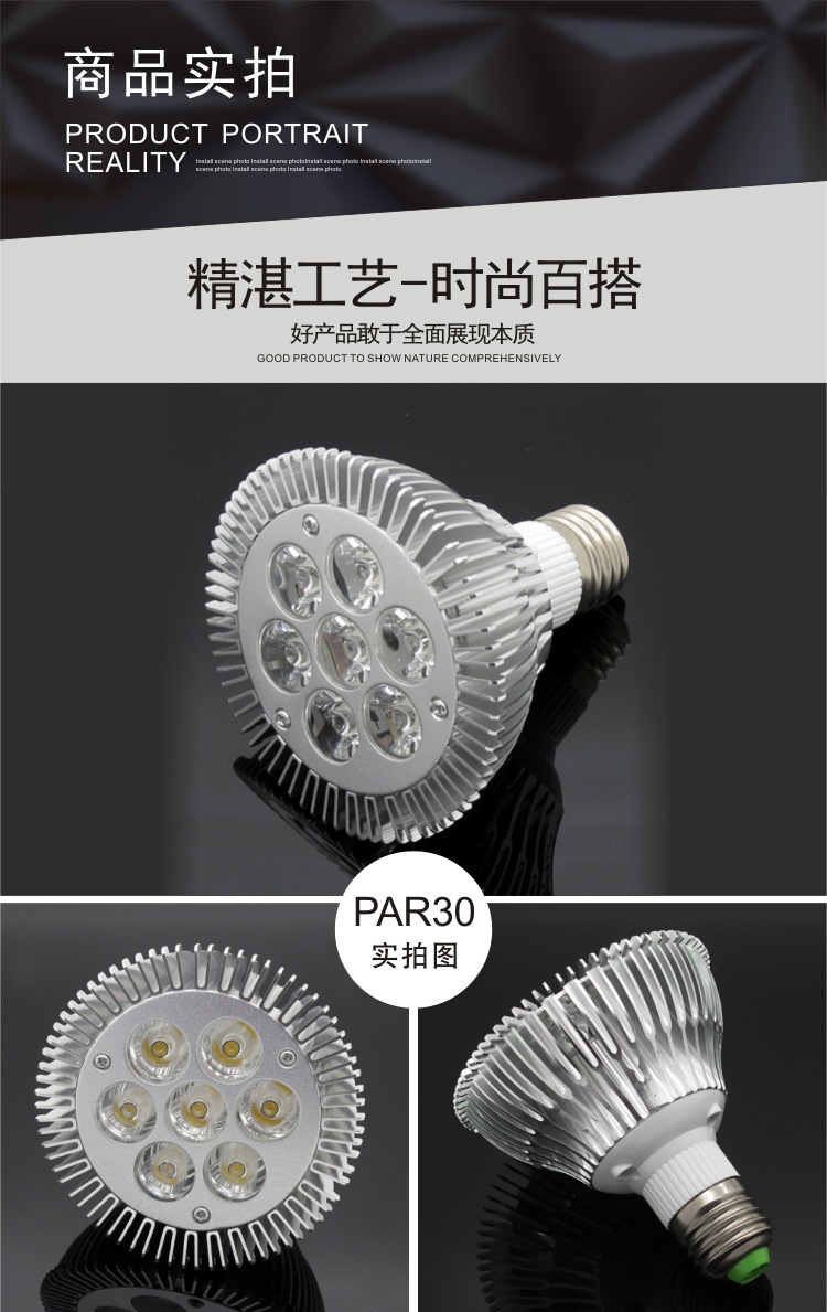 PAR30 PAR38射灯111