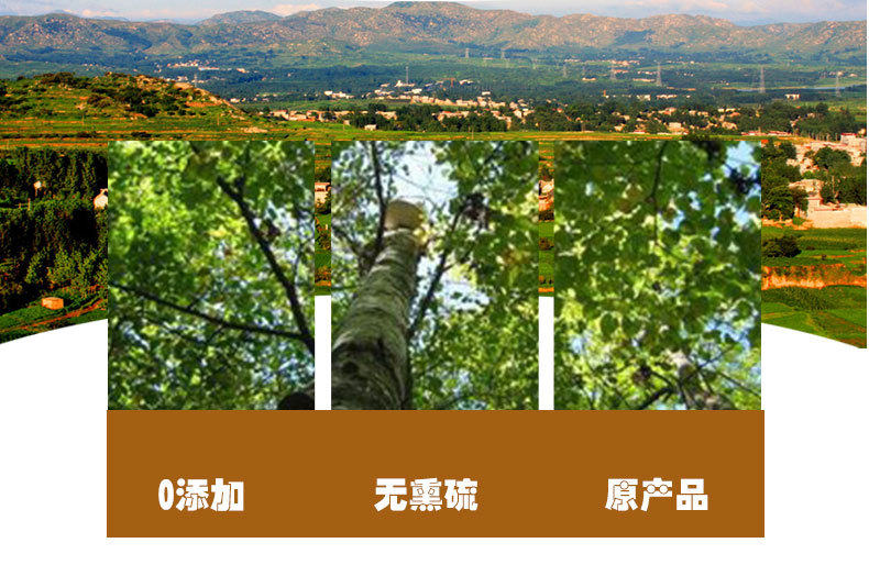 Chaga Mushroom (Inonotus obliquus) — Wild-Harvested Birch Conk from Changbai Mountain, 500g quality and texture
