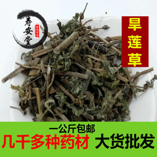 ��ș�����l Ұ����ɏ����؛��Ʒī��ɏ �ゃ�І� ��Ȼ�o��ɏ��