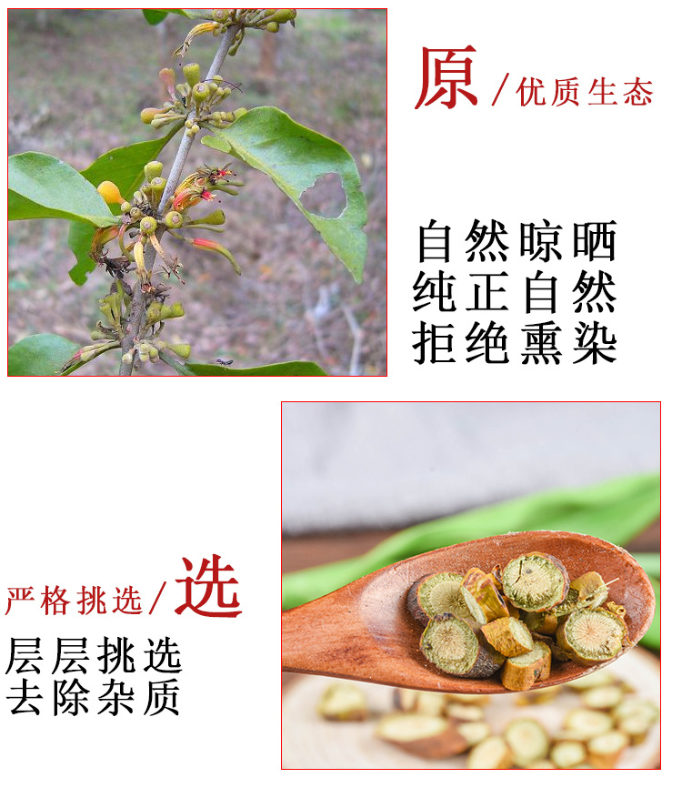 Sang Ji Sheng (Taxillus chinensis) — Dried Mulberry Mistletoe Herb, 500g Origin Sichuan key features