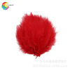 Winning feather manufacturers wholesale scattered roots of turbulent natural all -color color 50 sets of spot pet decoration