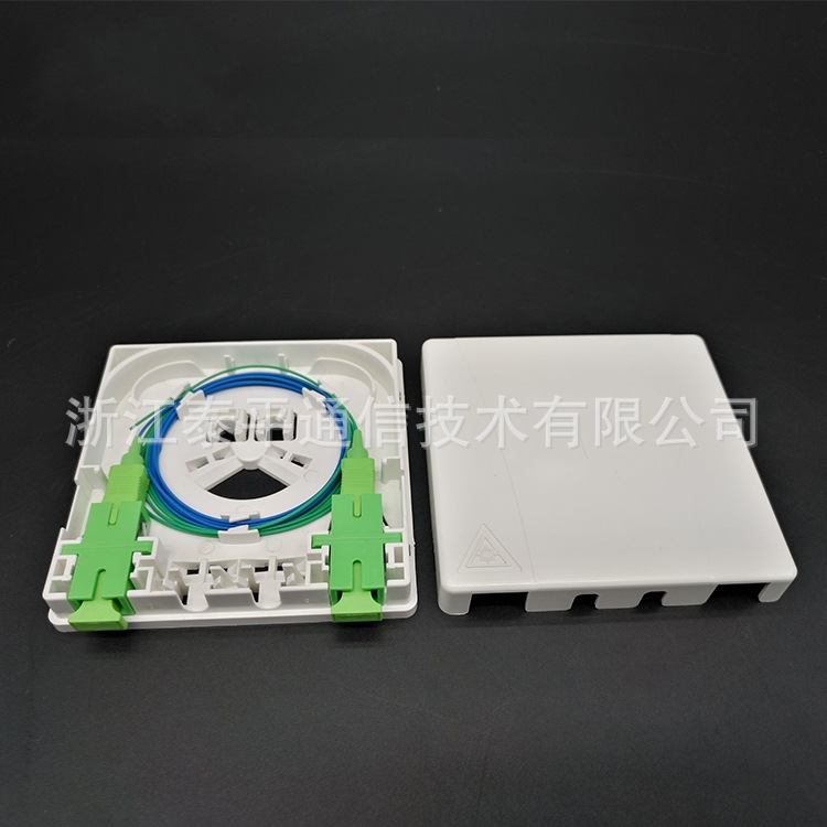 FTTH-双口面板 (2)