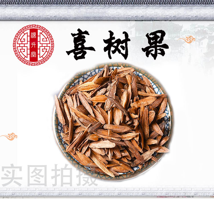 Xi Shu Guo (Camptotheca acuminata) — Dried Fruit of the Happy Tree, Unsulfured Raw Herb overview
