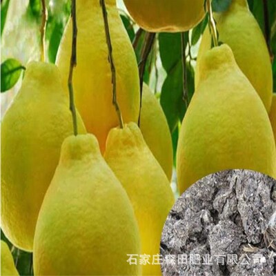 Manufactor wholesale Chicken natural Season Chicken Green Organic Fertilizer Grapefruit Dedicated Organic Fertilizer