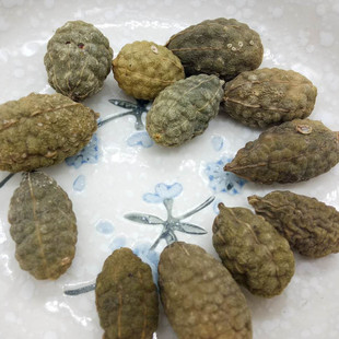 ������ ɽ���� �������N�䱳�� ����ă����l؛