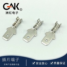 厂家直销 611-4.8公插片端子 4.8公扦片铜端子接线连接器 现货