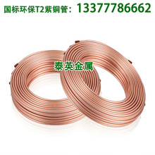 �F؛�������{�����~�� �o�p�t�~�� ���˭h��T2���~�� ���󃞻�